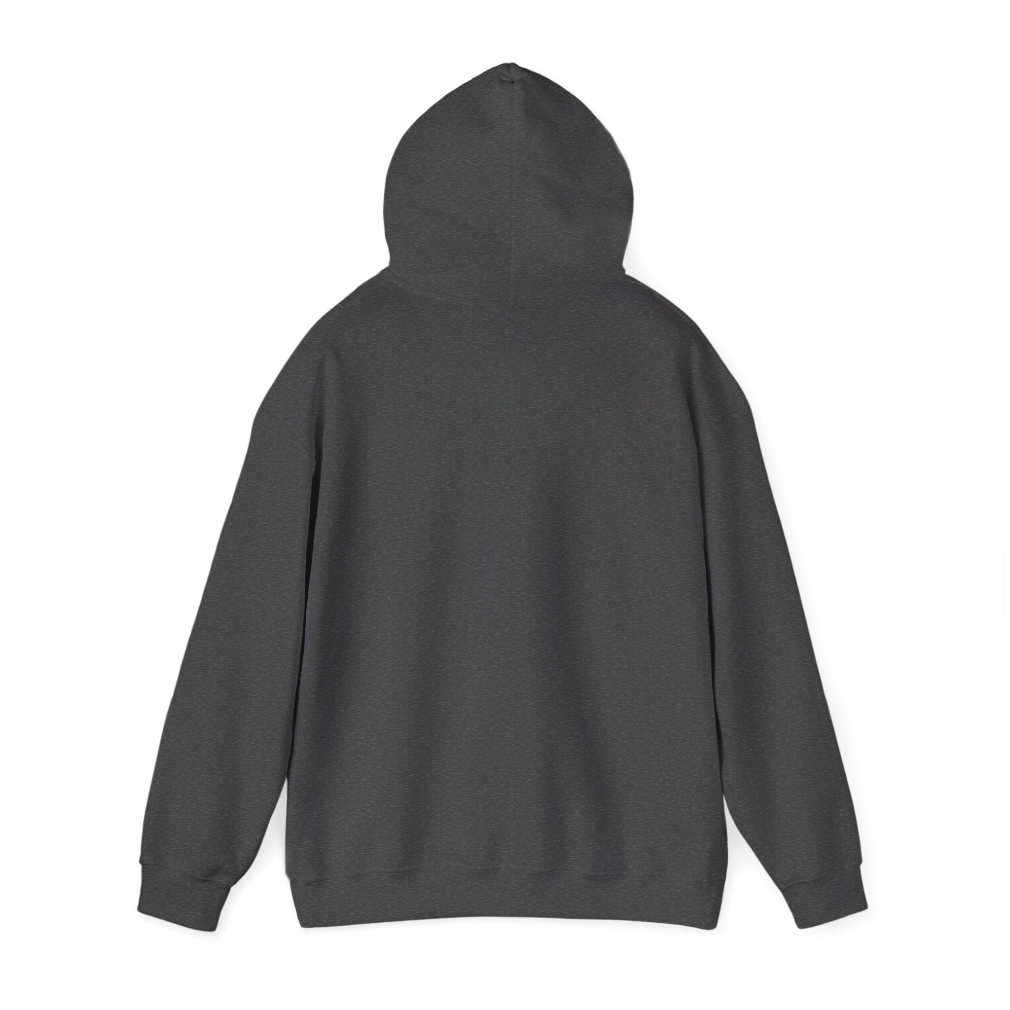 Sweat à Capuche Unisexe RLY – Logo Signature Entrelacé